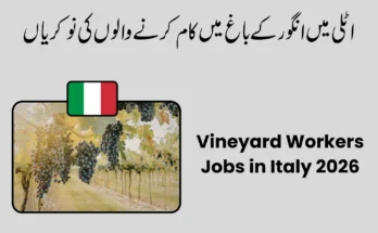 Vineyard Workers Jobs in Italy 2026