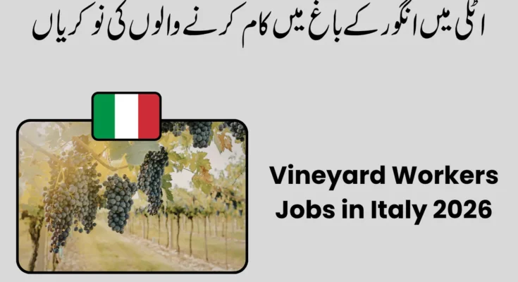 Vineyard Workers Jobs in Italy 2026