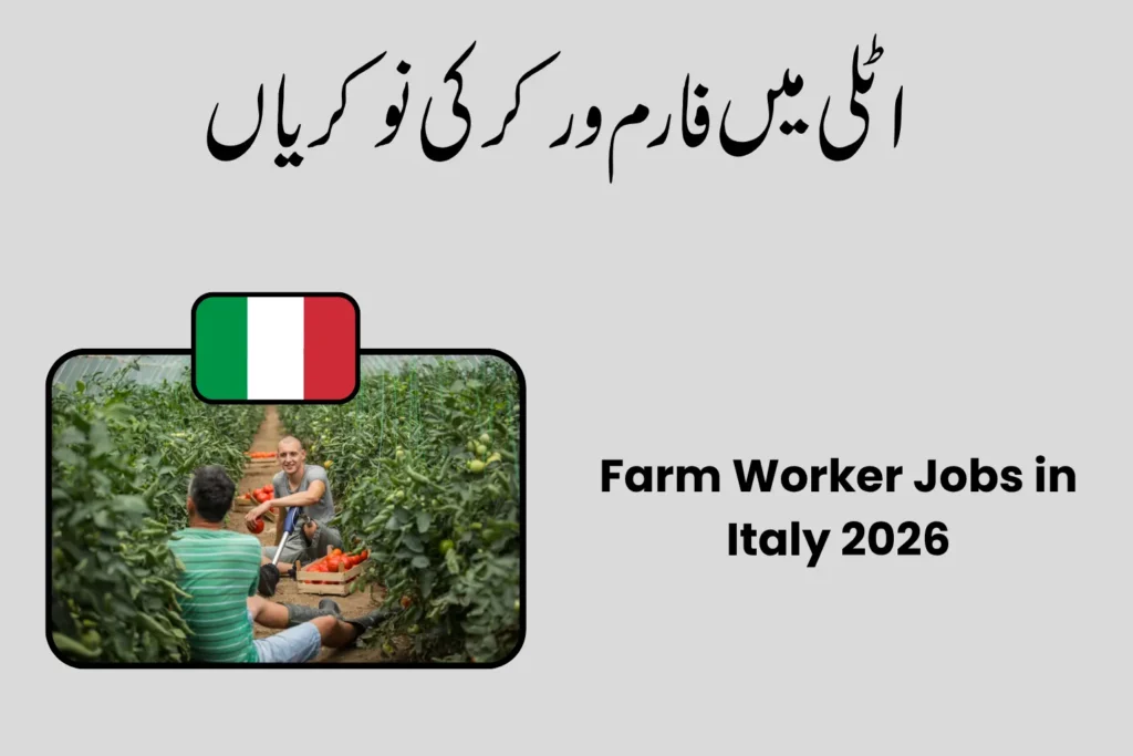 Farm Worker Jobs in Italy 2026