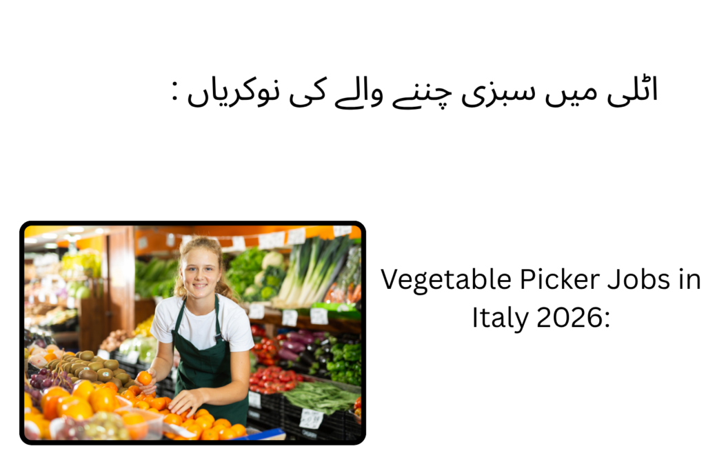 Vegetable Picker Jobs in Italy 2026