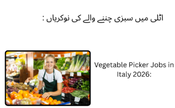 Vegetable Picker Jobs in Italy 2026