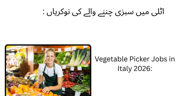 Vegetable Picker Jobs in Italy 2026